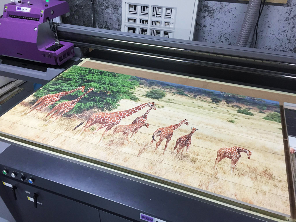 goedkope dieren foto op hout afdrukken hooglander zebra giraffe interieur