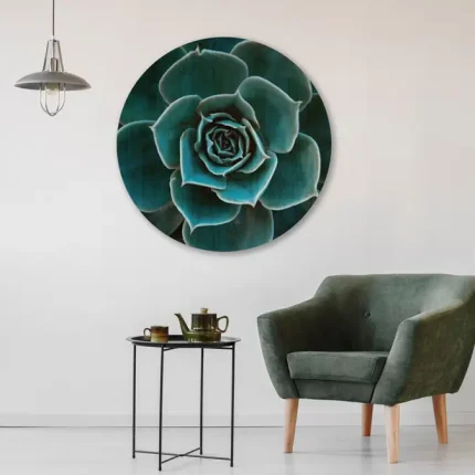 Muurcirkel Succulent Liever een ander sfeerbeeld aan de muur? Bekijk ons volledige assortiment muurcirkels. Liever een slagje kleiner of groter? Of een mooie foto gezien op Shutterstock? Geen probleem, neem dan even contact op, wij maken het voor je. Doordat wij alles in-house produceren in Harderwijk kunnen we tot 120 cm bedrukken.