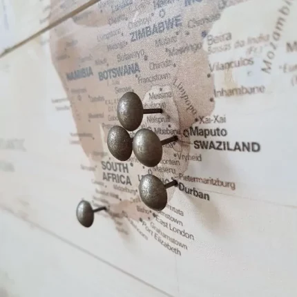 Wereldkaart hout Sepia met gratis pins