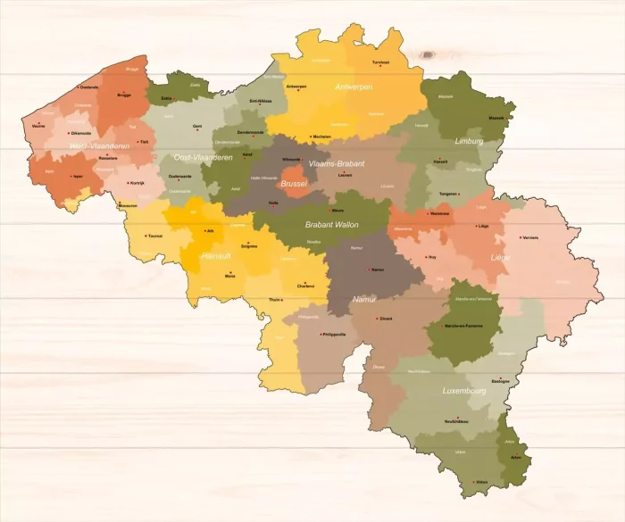 Landkaart België Modern - Afbeelding 2